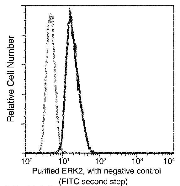 ERK2 Antibody in Flow Cytometry (Flow)