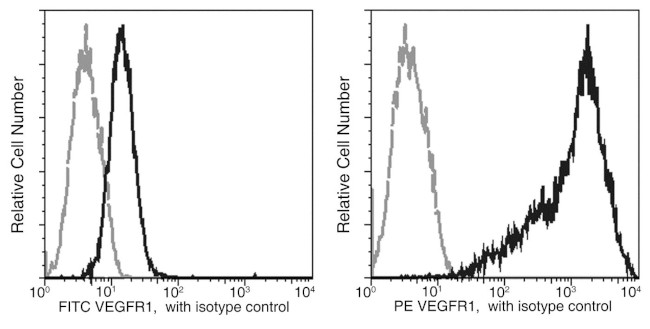 VEGF Receptor 1 Antibody in Flow Cytometry (Flow)