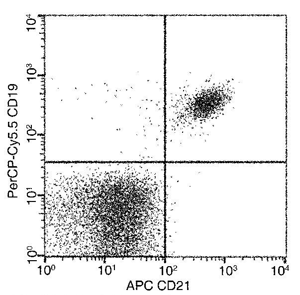 CD21 Antibody in Flow Cytometry (Flow)