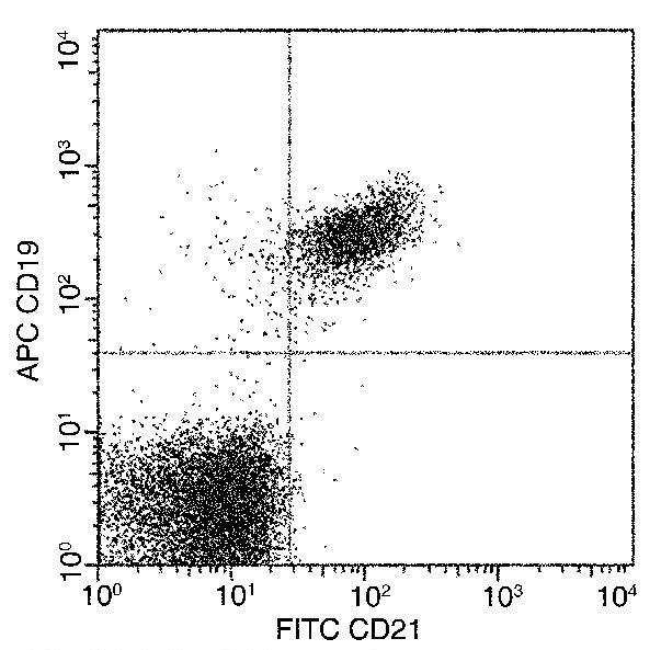 CD21 Antibody in Flow Cytometry (Flow)