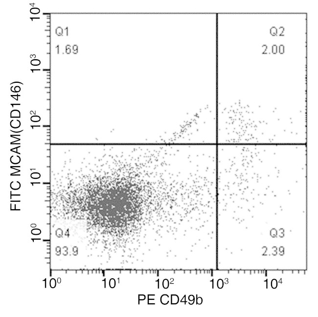 CD146 Antibody in Flow Cytometry (Flow)