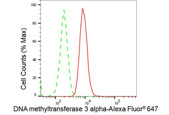 DNMT3A Antibody in Flow Cytometry (Flow)