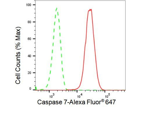 Caspase 7 Antibody in Flow Cytometry (Flow)