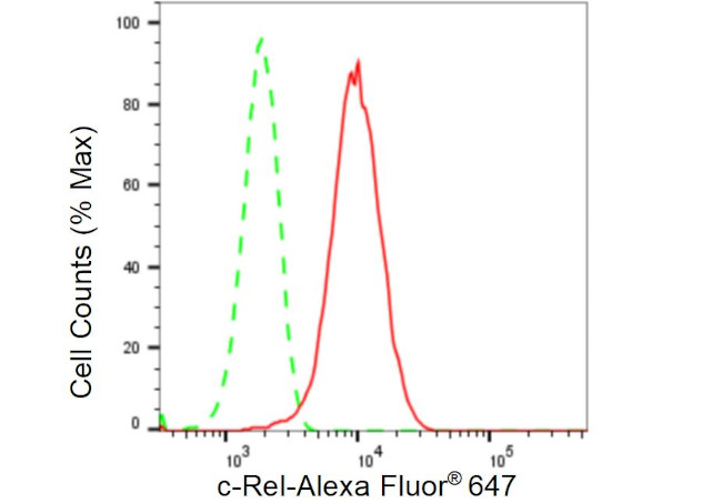 c-Rel Antibody in Flow Cytometry (Flow)