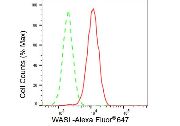 N-WASP Antibody in Flow Cytometry (Flow)