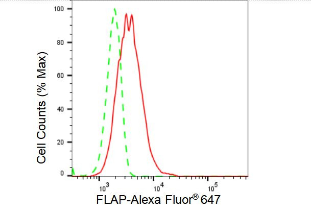 FLAP Antibody in Flow Cytometry (Flow)