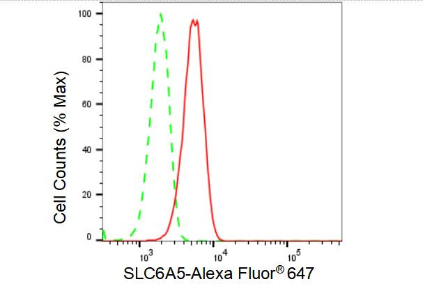 GlyT2 Antibody in Flow Cytometry (Flow)