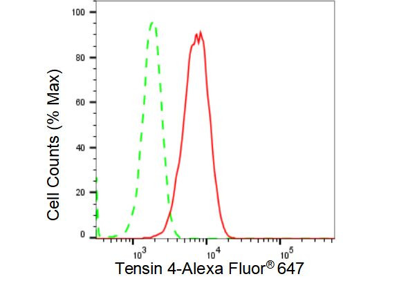 Tensin 4 Antibody in Flow Cytometry (Flow)