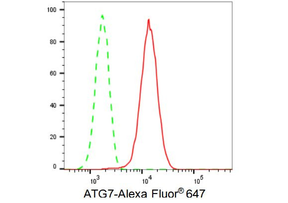 ATG7 Antibody in Flow Cytometry (Flow)