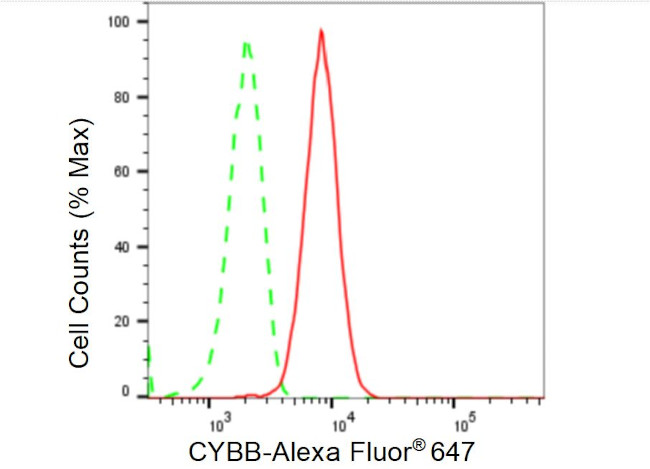 NOX2 Antibody in Flow Cytometry (Flow)