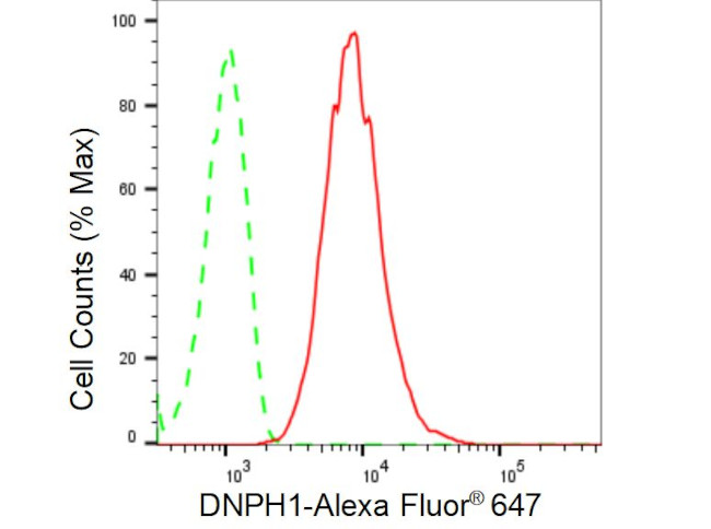 RCL Antibody in Flow Cytometry (Flow)