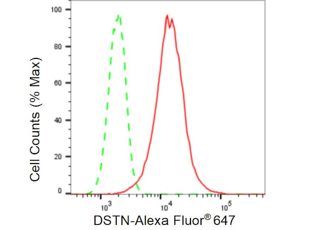 Destrin Antibody in Flow Cytometry (Flow)