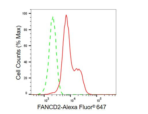 FANCD2 Antibody in Flow Cytometry (Flow)