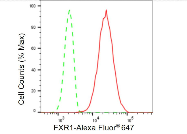 FXR1 Antibody in Flow Cytometry (Flow)