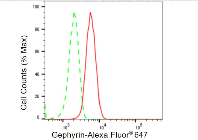 Gephyrin Antibody in Flow Cytometry (Flow)