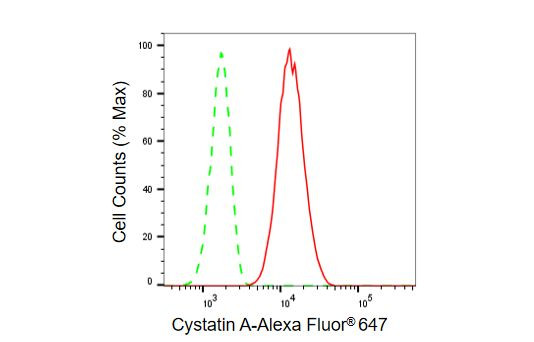 Cystatin A Antibody in Flow Cytometry (Flow)