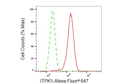 ITPK1 Antibody in Flow Cytometry (Flow)