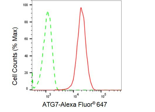 ATG7 Antibody in Flow Cytometry (Flow)