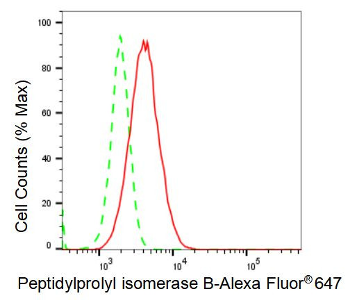 Cyclophilin B Antibody in Flow Cytometry (Flow)