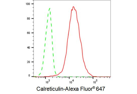 Calreticulin Antibody in Flow Cytometry (Flow)