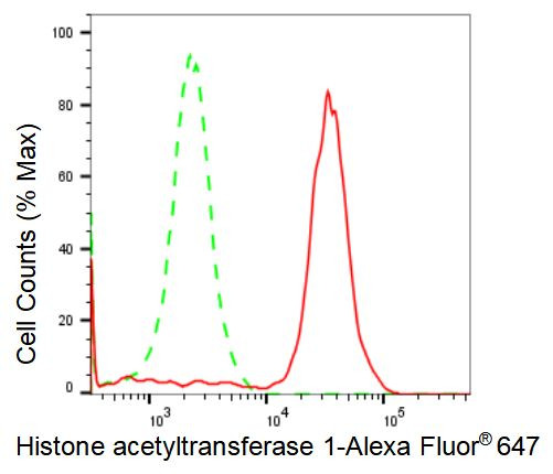 HAT1 Antibody in Flow Cytometry (Flow)