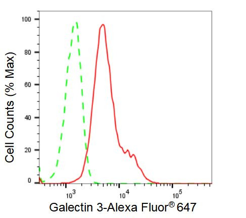 Galectin 3 Antibody in Flow Cytometry (Flow)