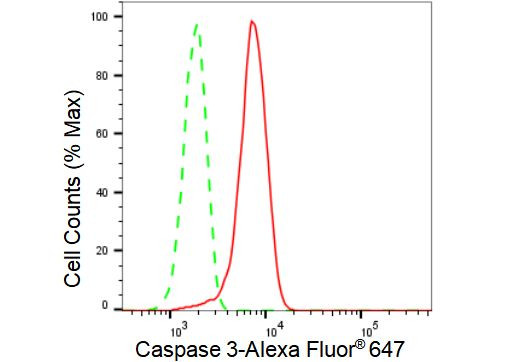 Caspase 3 Antibody in Flow Cytometry (Flow)