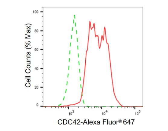 Cdc42 Antibody in Flow Cytometry (Flow)