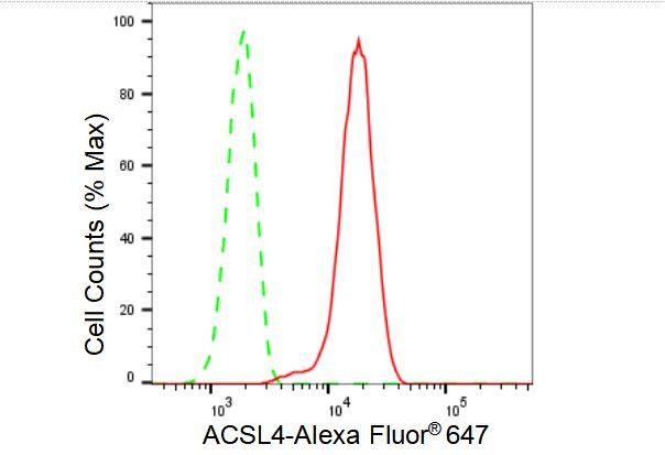 ACSL4 Antibody in Flow Cytometry (Flow)