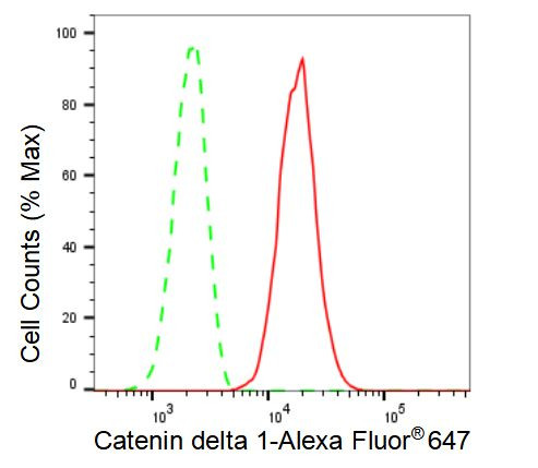 delta Catenin Antibody in Flow Cytometry (Flow)