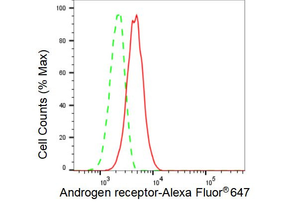 Androgen Receptor Antibody in Flow Cytometry (Flow)