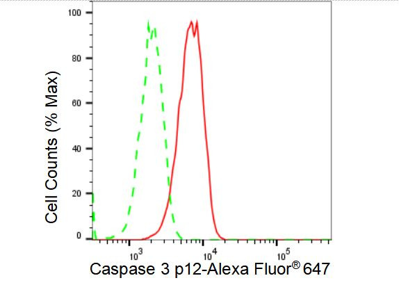 Caspase 3 p12 Antibody in Flow Cytometry (Flow)