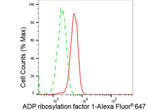 ARF1 Antibody in Flow Cytometry (Flow)