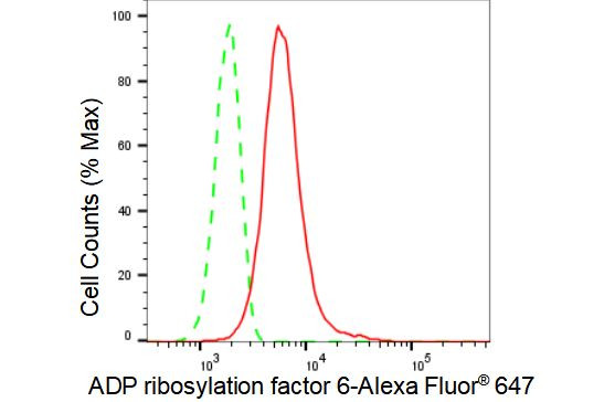 ARF6 Antibody in Flow Cytometry (Flow)