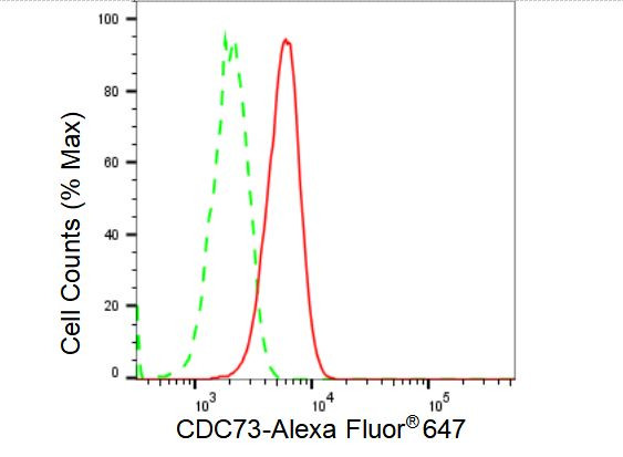 Cdc73 Antibody in Flow Cytometry (Flow)