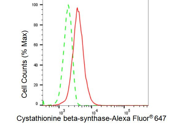 CBS Antibody in Flow Cytometry (Flow)