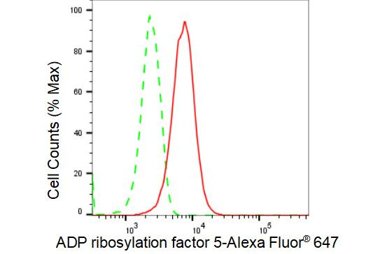 ARF5 Antibody in Flow Cytometry (Flow)