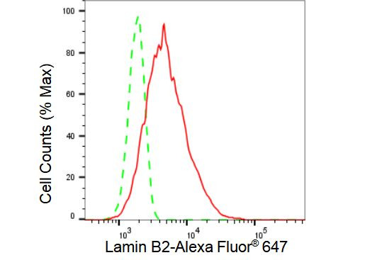 Lamin B2 Antibody in Flow Cytometry (Flow)