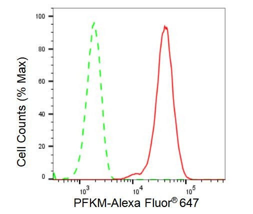 PFKM Antibody in Flow Cytometry (Flow)