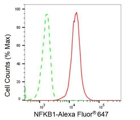 NFkB p50/p105 Antibody in Flow Cytometry (Flow)