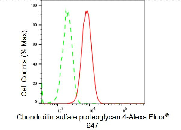 NG2 Antibody in Flow Cytometry (Flow)