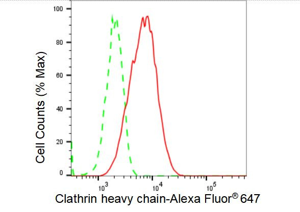 Clathrin Heavy Chain Antibody in Flow Cytometry (Flow)