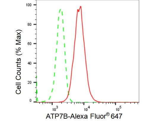 ATP7B Antibody in Flow Cytometry (Flow)