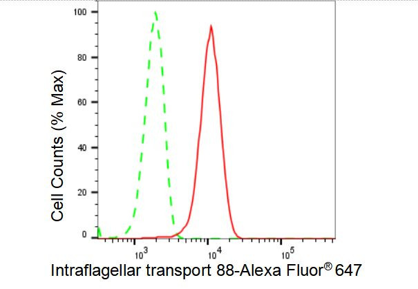 IFT88 Antibody in Flow Cytometry (Flow)