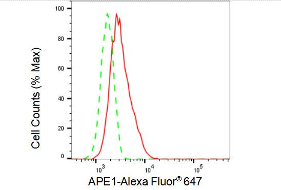 APE1 Antibody in Flow Cytometry (Flow)