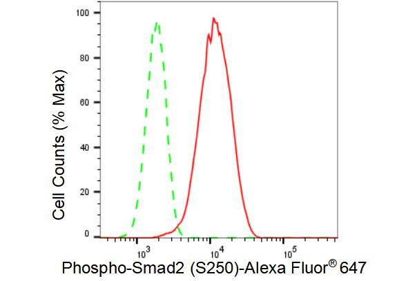 Phospho-SMAD2 (Ser250) Antibody in Flow Cytometry (Flow)