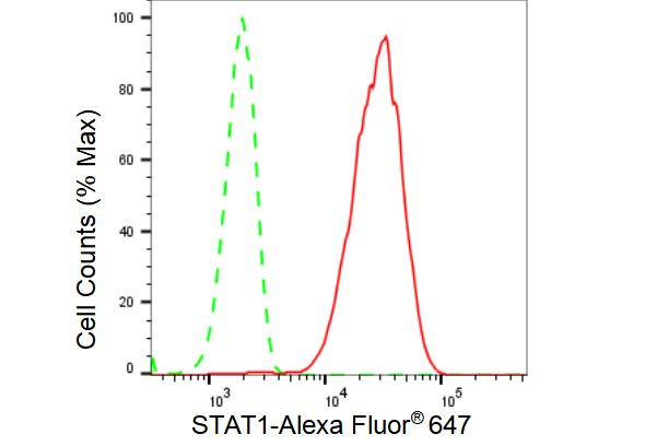 STAT1 Antibody in Flow Cytometry (Flow)