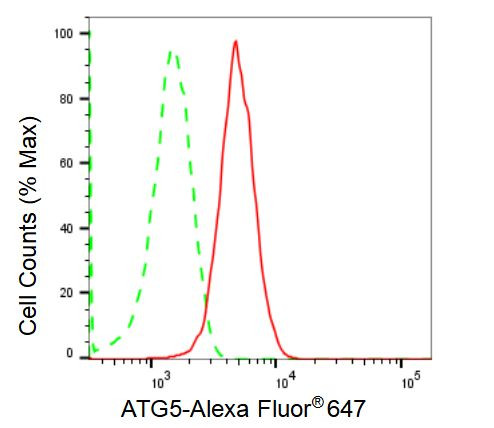 ATG5 Antibody in Flow Cytometry (Flow)