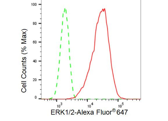 ERK1/ERK2 Antibody in Flow Cytometry (Flow)