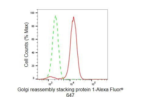 GRASP65 Antibody in Flow Cytometry (Flow)